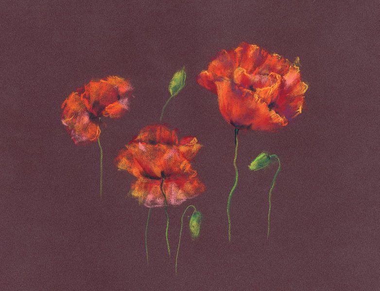 Feurige Mohnblüten Pastellgemälde von Karen Kaspar
