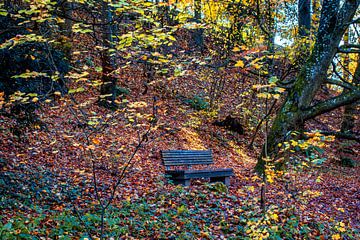 Baden-Württemberg : The Lonely Bench van Photoart-Naegele