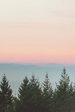 Wald Sonnenuntergang rosa Himmel, Nature Magick  von PI Creative Art