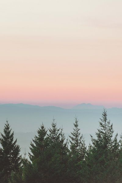 Forêt Coucher de soleil rose ciel, Nature Magick  par PI Creative Art