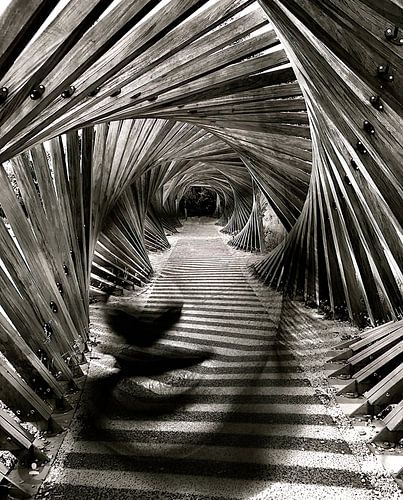 Brug dame II, dubbel belicht portret