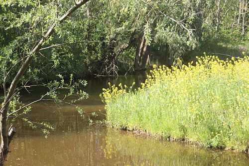 Stilleven in Abtswoude