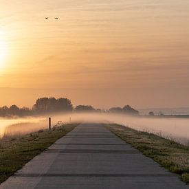 Polder Arkemheen Nijkerk van Arno Lambregtse