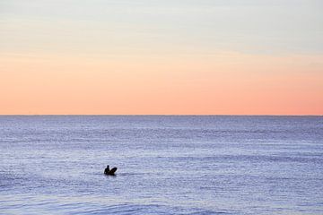 Surfer in een platte zee van Tim als fotograaf