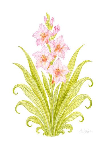 Bloesem van stille gratie – Roze botanisch motief op porseleinwit