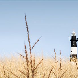 Lighthouse Nieuwe Sluis near Breskens by Claire van Dun