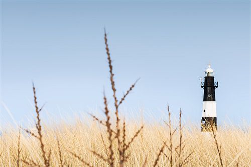 Lighthouse Nieuwe Sluis near Breskens