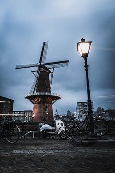 Windmühle in Delfshaven, Rotterdam