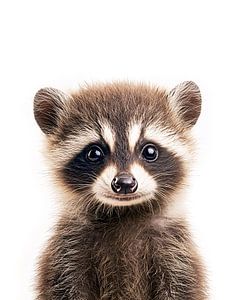 Baby-Waschbar
