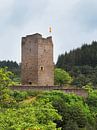 Ruïne Oberburg Manderscheid in de Eifel van Jörg Hausmann thumbnail