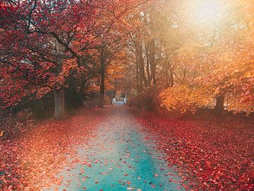 red trees by Joey Hohage