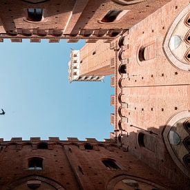 Das Rathaus von Siena | eine Reise durch Italien von Roos Maryne - Natuur fotografie