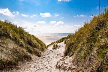 Weg zum Strand beim Amrumer Leuchtturm von Alexander Wolff