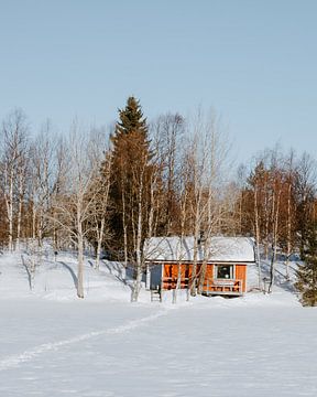 Huisje in de sneeuw tussen de bomen van Sander Wehkamp