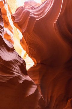 Slot Canyon - Canyon X in Arizona van swc07