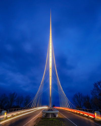 De Harp van Bram de Jong