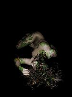 Human Nature - Portret Aarde
