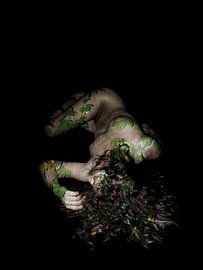 La nature humaine - Portrait de la Terre sur Joost van Lieshout