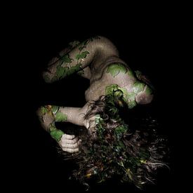 La nature humaine - Portrait de la Terre sur Joost van Lieshout