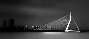 The Erasmus Bridge