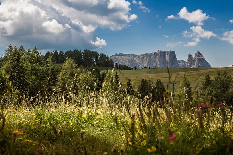 Südtirol Seiser Alm mit Blick auf den Schlern von Martina Weidner