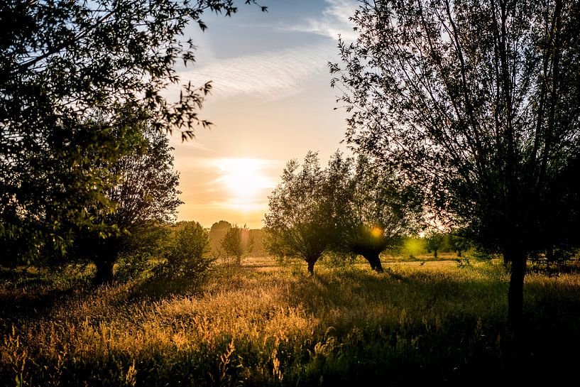 Sunset in the Goudse Hout // Groene Hart, The Netherlands by PHOTORIK