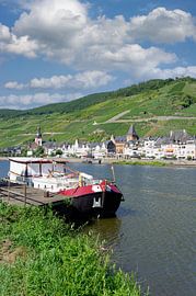 Wine village Zell an der Mosel by Peter Eckert