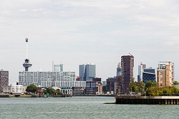 rotterdam skyline with euromast  by ChrisWillemsen