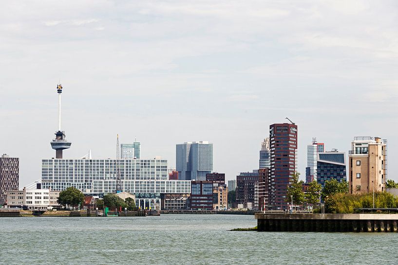 rotterdam skyline with euromast  von ChrisWillemsen