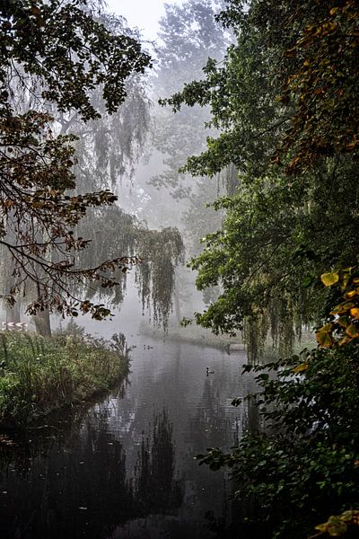 Vue à travers un parc dans le brouillard à Voorburg par Michel Groen