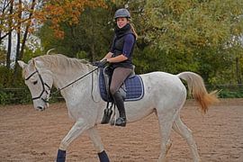 white horse and rider training on a riding arena