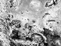 Bubbles Up