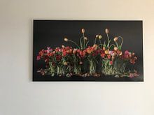 Kundenfoto: Tulpen aus Holland von Dirk Verwoerd, auf alu-dibond