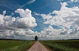 Hollands landschap von Richard de Nooij