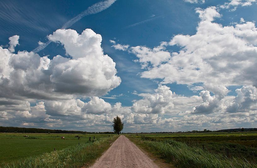 Hollands landschap by Richard de Nooij
