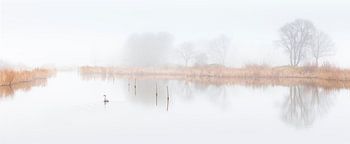 Misty silence in the Vlietlanden in Vlaardingen on a winter's day