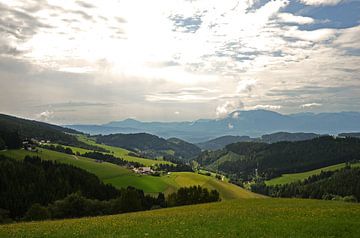 Diex Österreich von Frank de Ridder