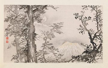 Takeuchi Seihō - Seihō jūni Fuji, Pl.04 (1894) van Peter Balan