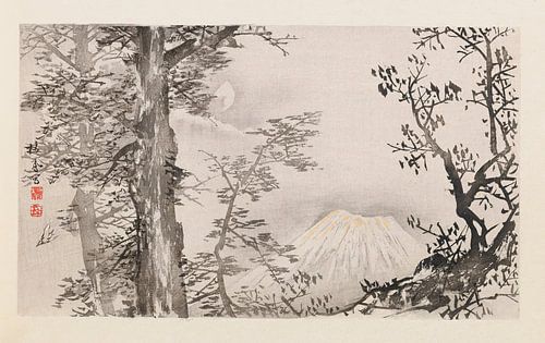 Takeuchi Seihō - Seihō jūni Fuji, Pl.04 (1894)