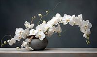 Orchideen-Stillleben