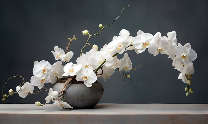 Orchid Still Life by Jacky on canvas, poster, wallpaper and more