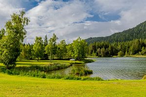 Wandeling rond de Wildsee van Oliver Hlavaty