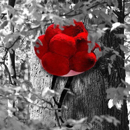 Bollen hat on tree 1.0 SW