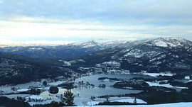 Vradal Norwegen von Wouter Stolk