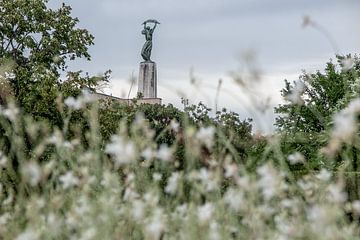 Statue de la Liberté à Budapest Hongrie
