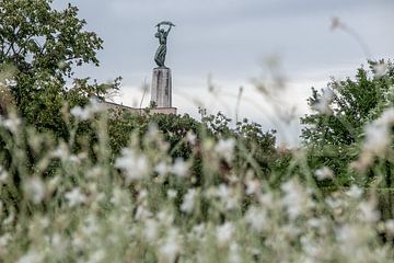 Vrijheidsbeeld in Budapest Hongarije