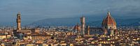 Panoramic view of Florence