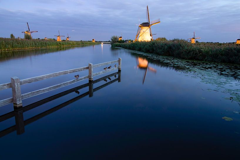 Children's dike lighting week by Tom Hengst