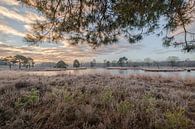 Sunrise above the Overasseltse en Hatertse Vennen by Moetwil en van Dijk - Fotografie thumbnail
