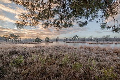 Zonsopkomst boven Overasseltse en Hatertse Vennen